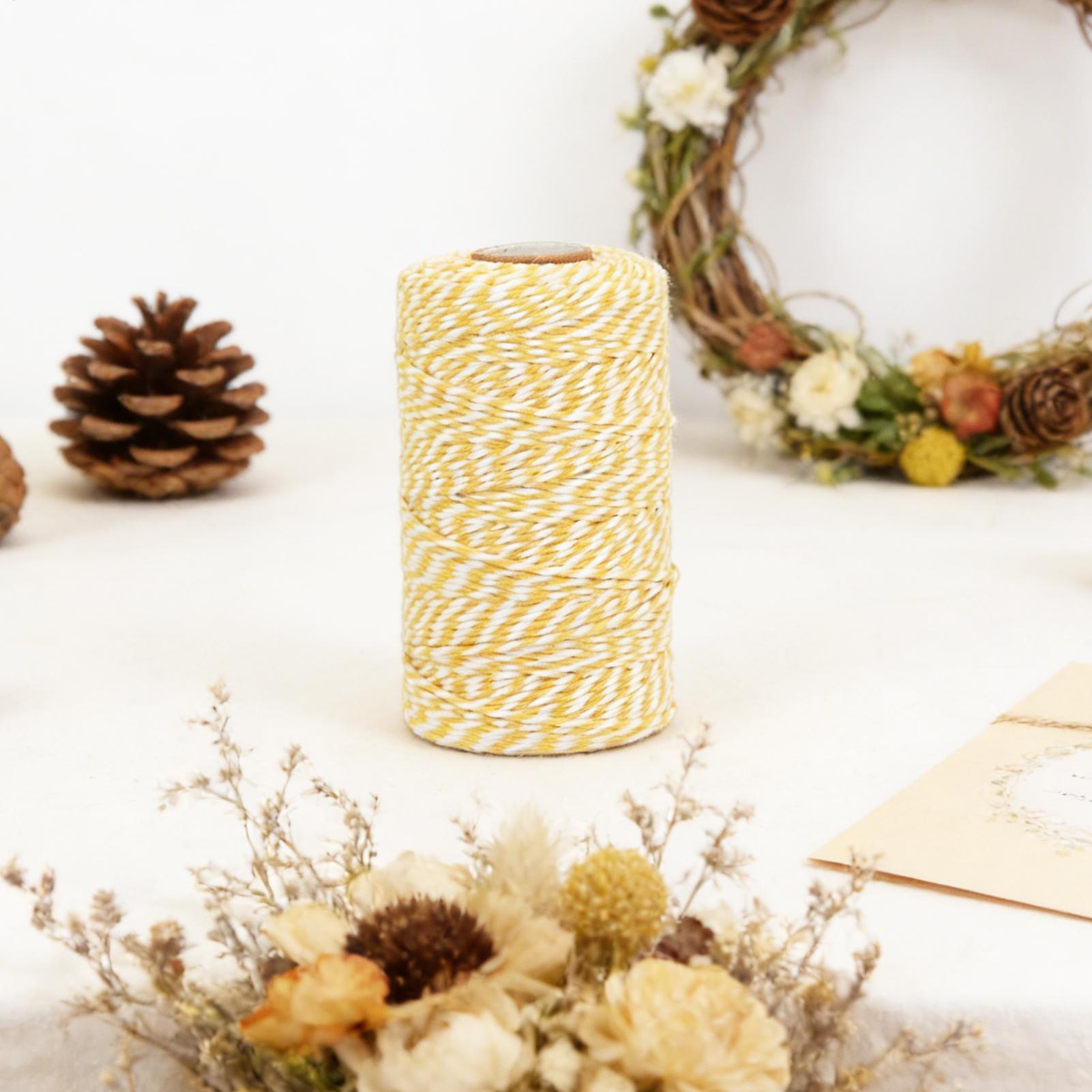 Baking Twine 2mm 328ft Natural - Kitchen Baking Twine review and price